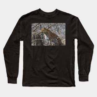 Leopard in a Tree Long Sleeve T-Shirt